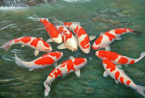 Chuyên Bán Vật Liệu Lọc Nước Tại Vinh Nghệ An Hà Tĩnh Hàng Chuẩn Giá Tốt 10 Chuyên Bán Vật Liệu Lọc Nước Tại Vinh Nghệ An Hà Tĩnh Hàng Chuẩn Giá Tốt 3 5